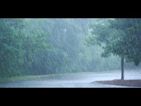 Maravilloso Sonido de Lluvia para Dormir en 11 Minutos - Lluvia para Dormir, Estudiar, Meditar