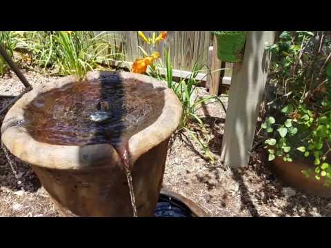 download lagu mp3 mp4 Daylilies South Carolina, download lagu Daylilies South Carolina gratis, unduh video klip Daylilies South Carolina