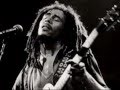 Bob marley and the Wailers Rat Race/Roots Rock ...