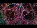 The End Of Words | Material
