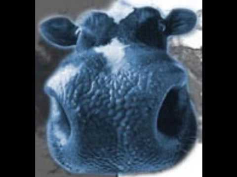 FriskMælk Pt. 1 - SvenOp/Es/Supajan