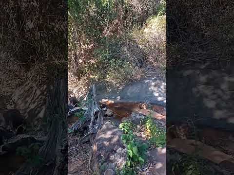saudade desse lugar ... pedra dourada MG