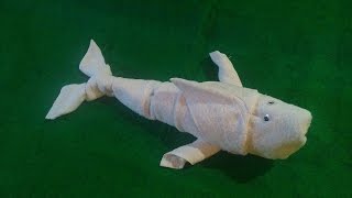 SHARK FISH [ TRAILER ] - MY TOWEL CREATION