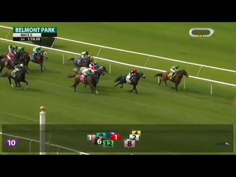 Disastrous ride by jockey Luis Cardenas(1)bet down by trainer David Donk barn from 12-1 to 5-1.