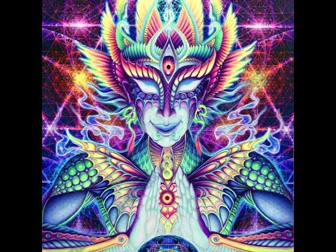 Neo Goa Trance Vol.12 - mixed by Ashipu