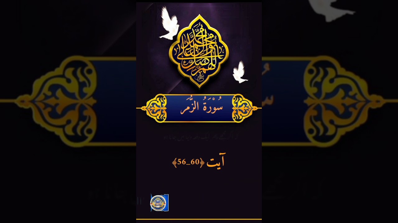 Surah Az Zumar With Urdu Translation ! سورۃ الزمر #islam #allahuakbar #top #foryou  #allahamdulillah