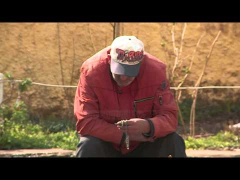 Fiks Fare Highlights, 11/12/2015 - Pjesa 2