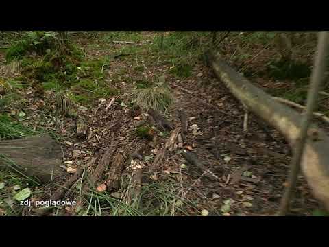 MARIUSZ G PODEJRZANY O TRZY MORDERSTWA