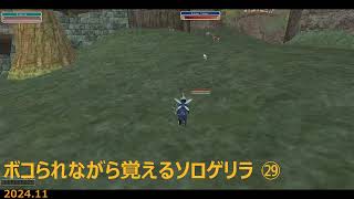 [MoE] ボコられながら覚えるソロゲリラ ㉙ [WarAge]