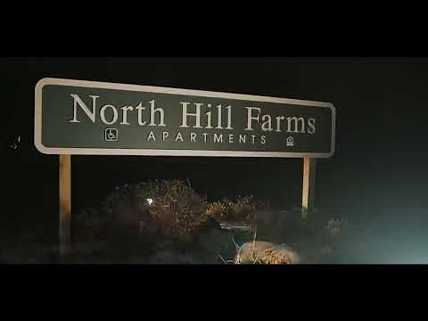 StainGang Boogs - Forever (Official Video)