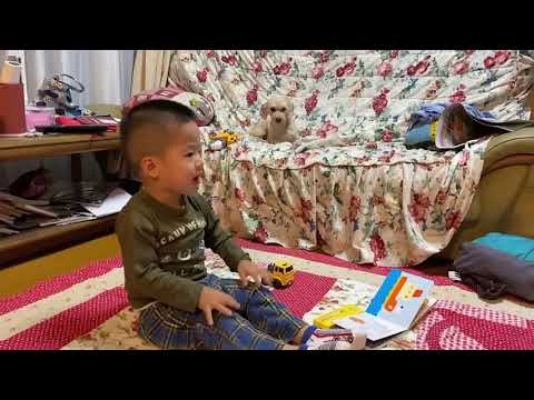 こども学科 【成長記録】大きな栗の木の下で（2歳3ヶ月）