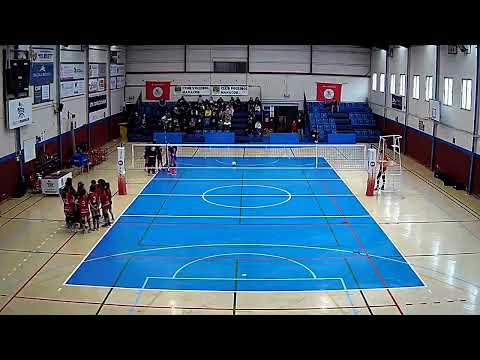 CV MANACOR BLAU AF3 - ALGAIDA VC VERD