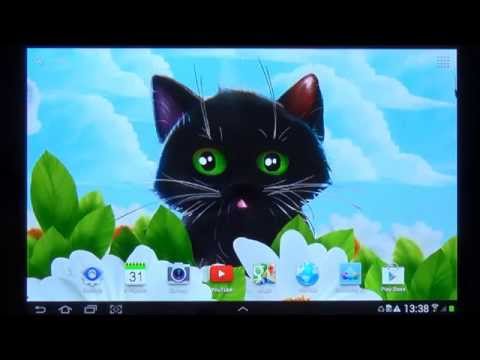 Cute Kitten Live Wallpaper video