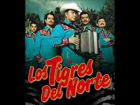 El golpe traidor - Los Tigres Del Norte