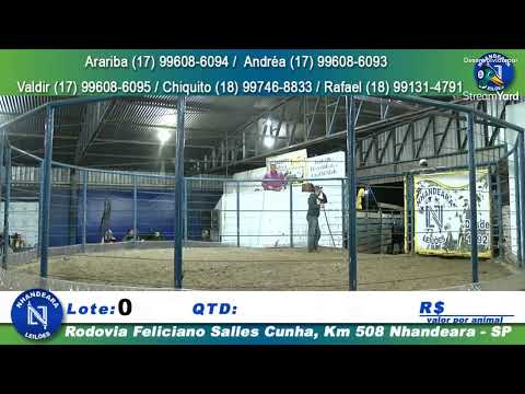 NHANDEARA LEILÕES AO VIVO - 28/07/2025