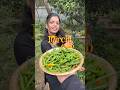 Mirchi Dahi Or Dahi Mirchi Shorts