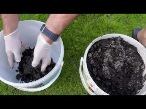 Breeding Albidus Pot Worms/Enchytraeid Worms - they stimulate fish to spawn.