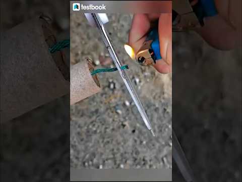 Special Surprise💣 #shorts #trending