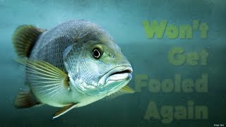 Discernment - HOPE Community Church