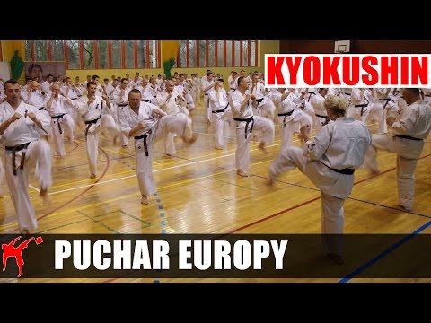 Kyokushin Karate European Cup 2016 - Mata 'C'