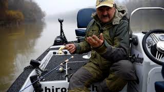 Hornet 9 salmo