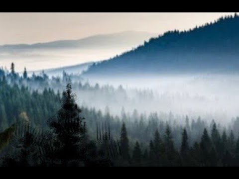 How to paint foggy forest in watercolor painting - Misty landscape