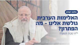 האלימות בחברה הערבית גולשת אלינו - מה הפתרון? | הרב שמואל אליהו | הלכה יומית | י״ח טבת תשפ״ו (הרב שמואל אליהו) - התמונה מוצגת ישירות מתוך אתר האינטרנט יוטיוב. זכויות היוצרים בתמונה שייכות ליוצרה. קישור קרדיט למקור התוכן נמצא בתוך דף הסרטון