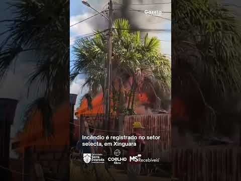 Incêndio é registrado no setor selecta, em Xinguara