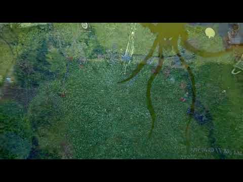 Eine gute Woche 26.08.2017