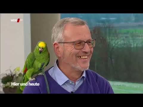 WDR hier und heute | Dieser Mann lebt mit 130 Papageien!