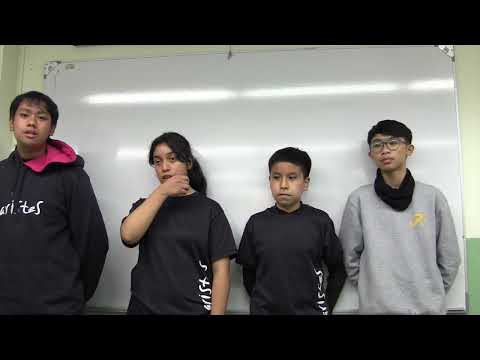 preview video