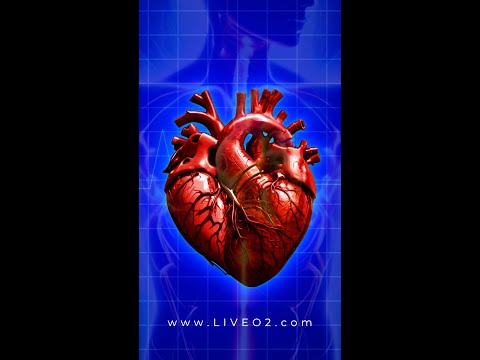 Boost Cardiovascular Health with LiveO2
