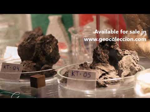 The K-T boundary in your hands.