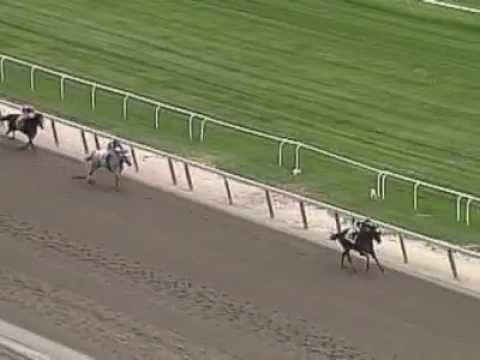 2005 Metropolitan Handicap - Ghostzapper