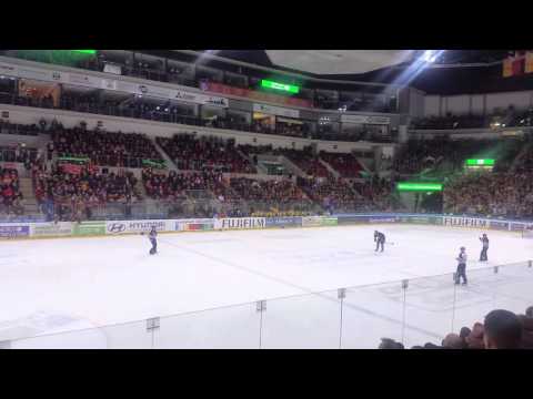 Düsseldorfer EG vs Krefelder Pinguine 28.2.2016