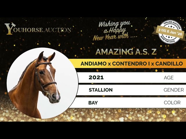 Amazing A.S. trainingsvideo