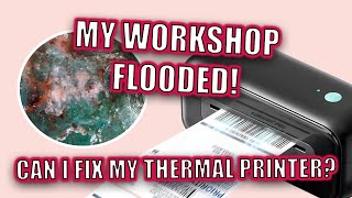 This Is What Happens When You Let It Rain Indoors…