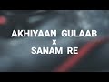 AKHIYAAN GULAAB X SANAM RE HINDI LOVE MASHUP