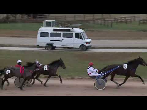 20221210 01. futam - 2022. ÉVI SEGÉDHAJTÓ KUPA VI. FUTAMA - MAHARAJAH HENDIKEP