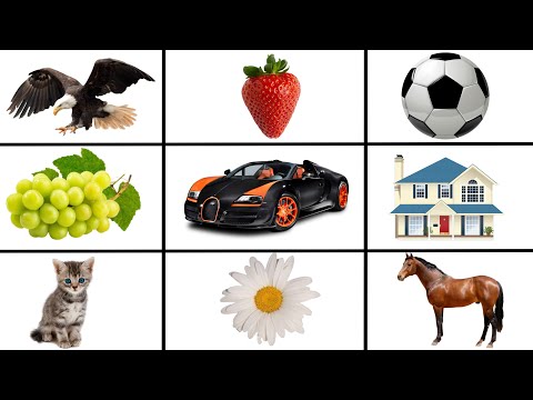 Fjalet E Para Te Bebeve | Kanal Per Femije