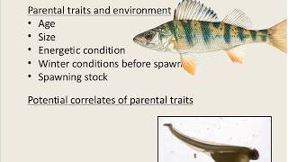 Stone Lab Guest Lecture: Ohio Fisheries Management