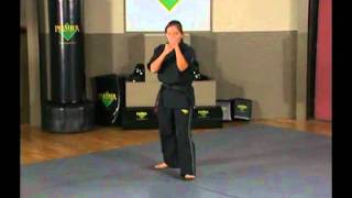 Karate | Black Belt Training | Kicking | Pop Up Round Kick, Inside/Outside Crescent Kick