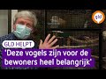 Verpleeghuis Pieter Pauw is dringend op zoek naar een grote vogelkooi| Gelderland Helpt