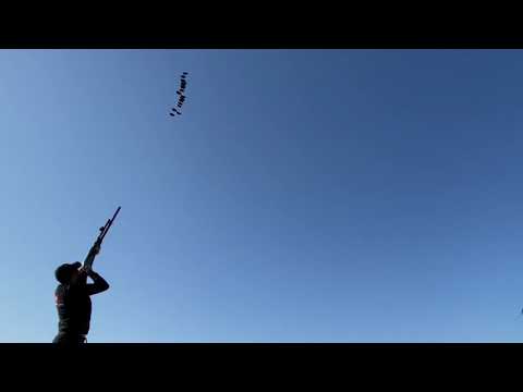 Record del mondo 17 piattelli in due secondi