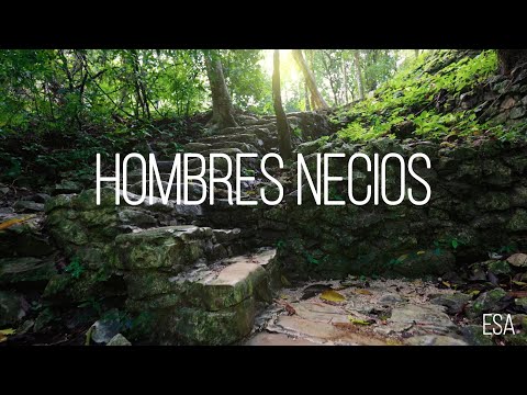 Hombres necios