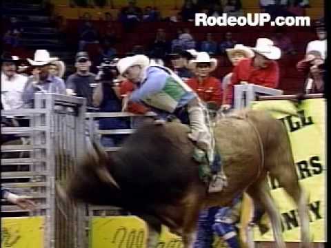 WOLLY BULLY - BULL RIDING!