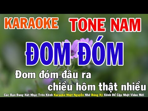 Đom Đóm Karaoke Tone Nam Nhạc Sống - Phối Mới Dễ Hát - Nhật Nguyễn