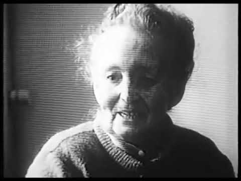 Трайчо Костов   кой бе той