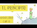 EL PRINCIPITO. Cap. 12 (AUDIOLIBRO)