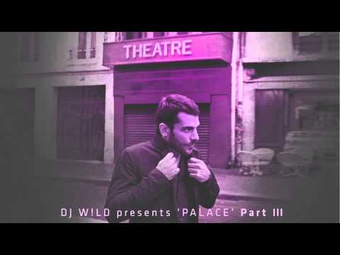 DJ WiLD - Le Zoo, Les Animaux Et L'homme En Feu (The W Label)